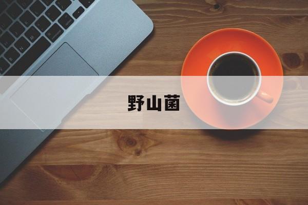 野山菌-第1张图片- 野山菌-第1张图片-