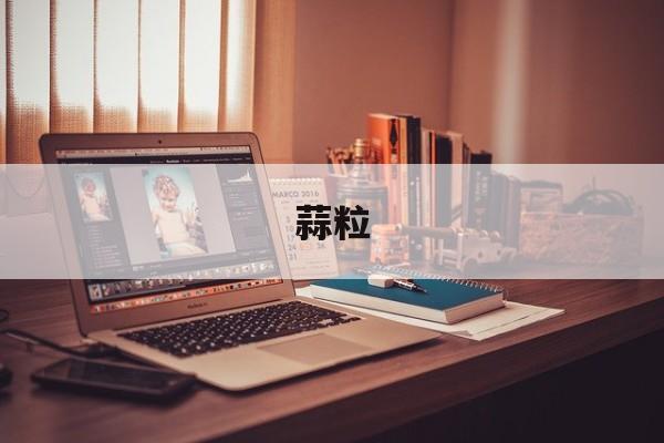 蒜粒-第1张图片- 蒜粒-第1张图片-